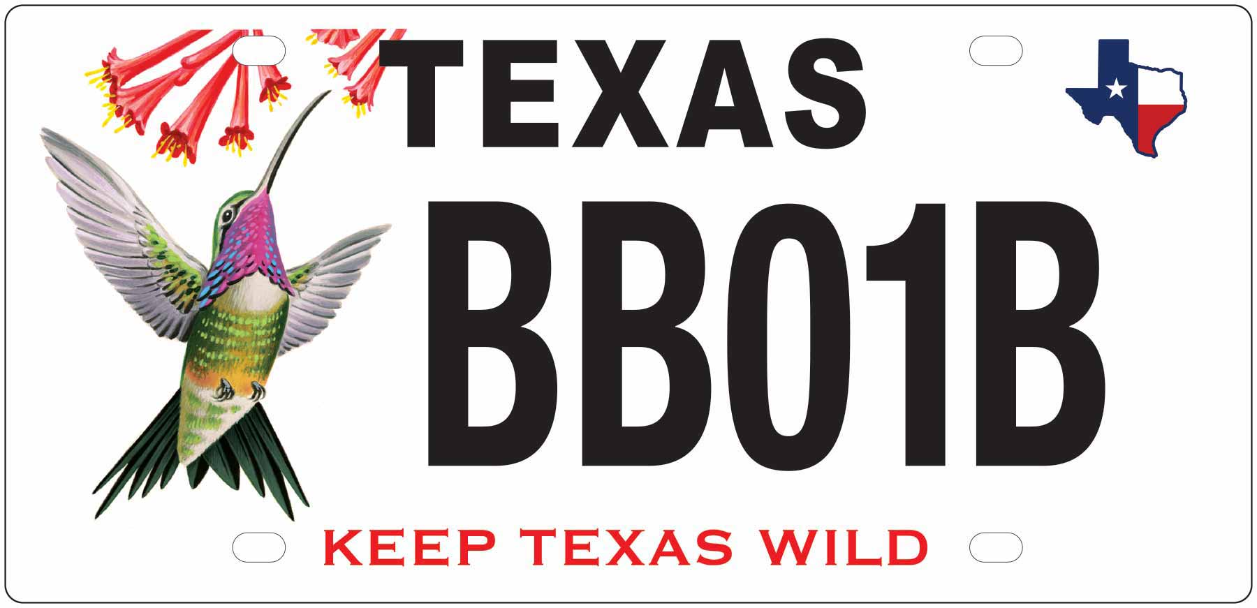 Hummingbird License Plate